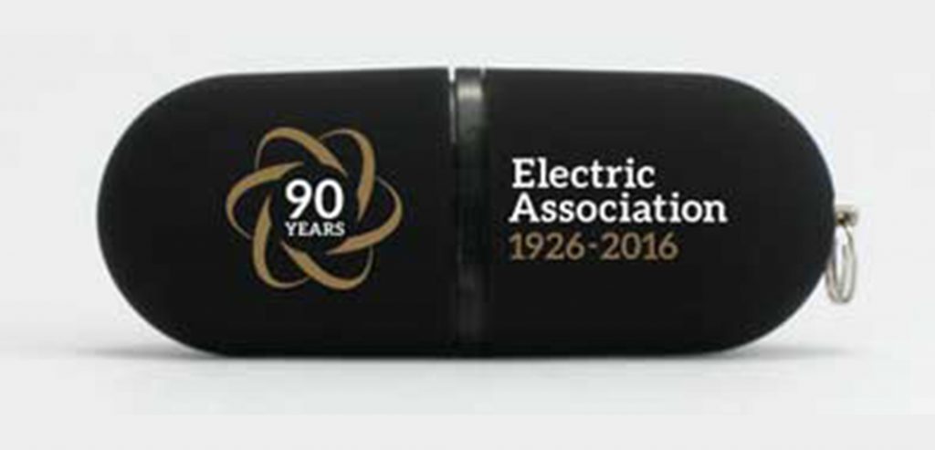 Chicago Electric Association Flash Drive